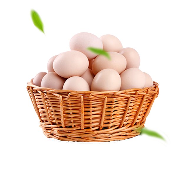 Description of the image